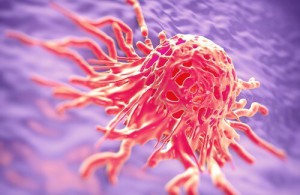 Urtemedisin mot kreft: Anbefalte infusjoner