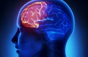 Hjemmelagde smoothies for bedre hukommelse