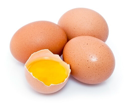 egg