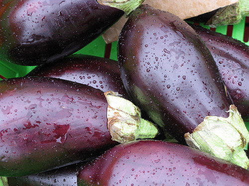 aubergine