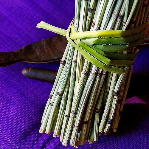 asparges bekjemper vann i kroppen