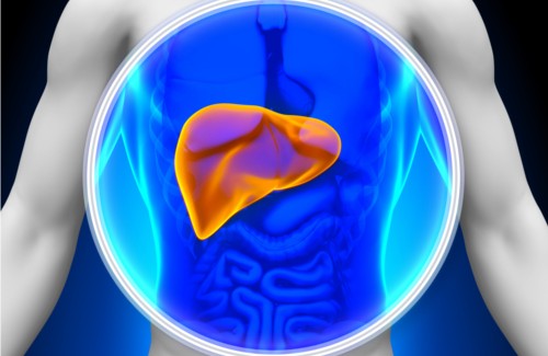 Matvarer som vil rense leveren: Vi gir deg tips