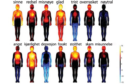 Hvordan negative tanker og følelser kan skade kroppen din