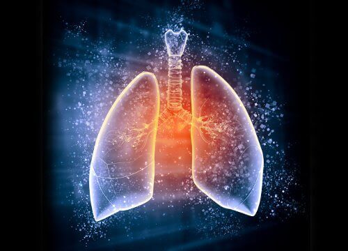 Lungebetennelse: symptomer og behandling