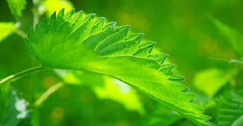 Triks for å stoppe snorking