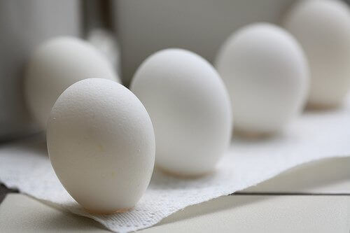 egg