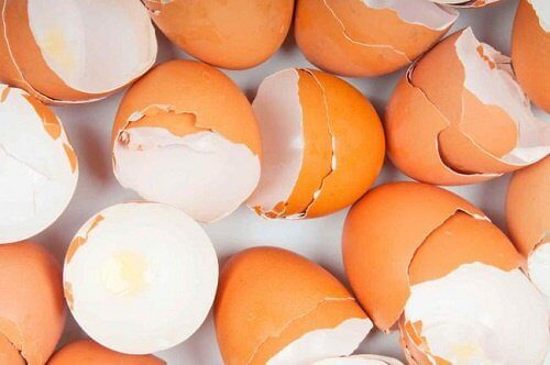 15+ overraskende bruksområder for eggeskall