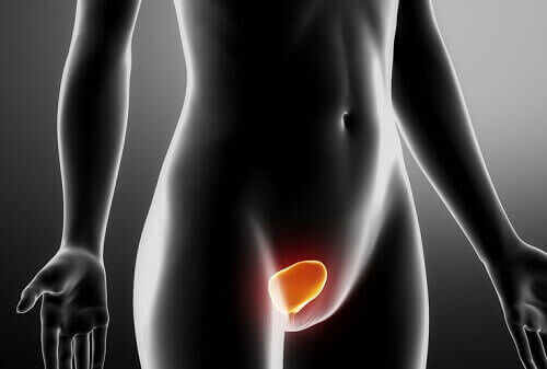 Hvordan behandle og forebygge urinveisinfeksjoner