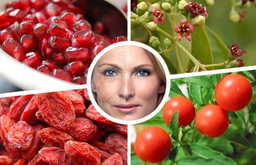 7 antialdringshemmeligheter fra Himalaya