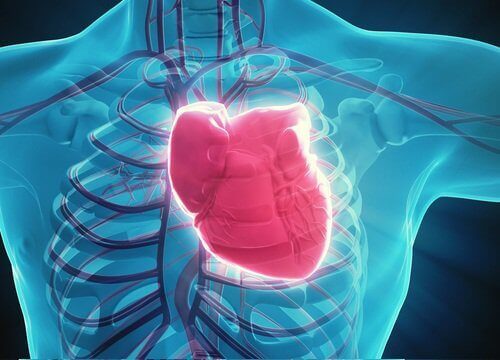2-hjerte-helse