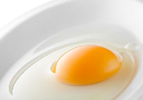 Egg
