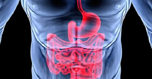 Dårlig fordøyelse og følelsesmessige problemer