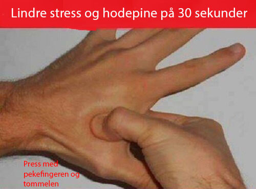 Lindre-stress-og-hodepinne