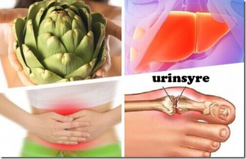 Artisjokker: 7+ medisinske bruksområder.