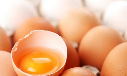 Eggeplomme eller eggehvite: Hva er best?
