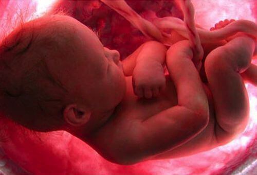 Hvorfor husker du ikke din egen fødsel?