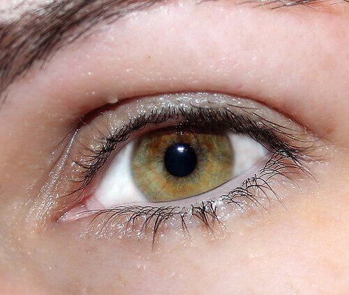 Øye-neuroticcamel
