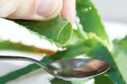 7 grunner til å bruke aloe vera for diabetes
