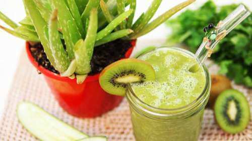 Aloe Vera og kiwi-smoothie