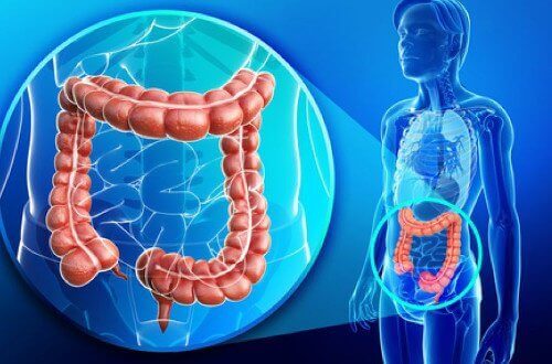 Tips for sunne tarmer og vektnedgang