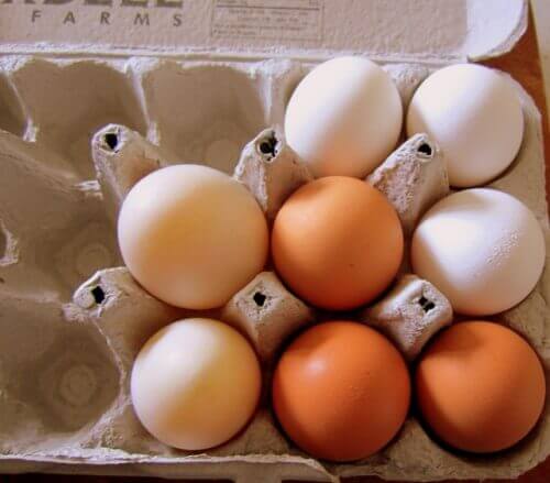 eggs2
