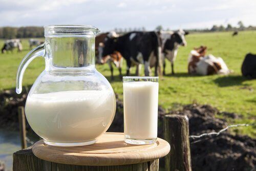 Melk-500x334