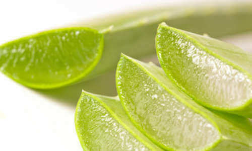Aloe vera-juice har mange egenskaper som er bra for helsen
