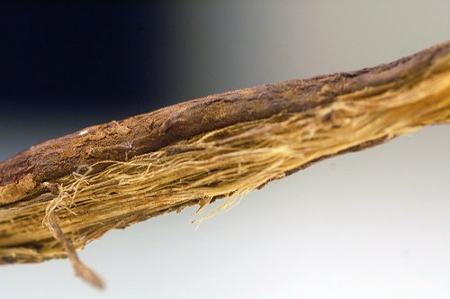 lakris er naturlig kortison