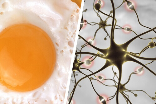 Mat og forslag som forbedrer hukommelsen din