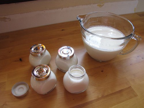 yoghurt-hjemmelaget