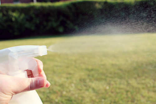 Eplecidereddik-spray