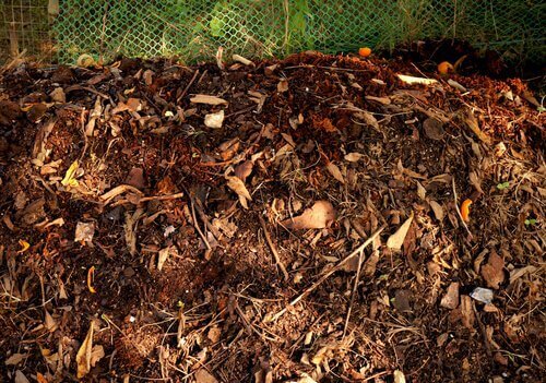 3-plantejord-blanding