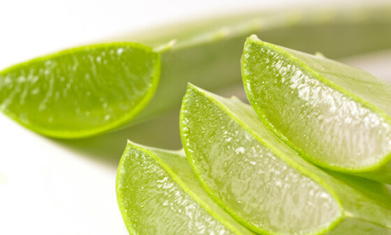 4-aloe