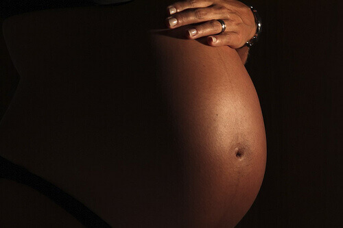 gravid