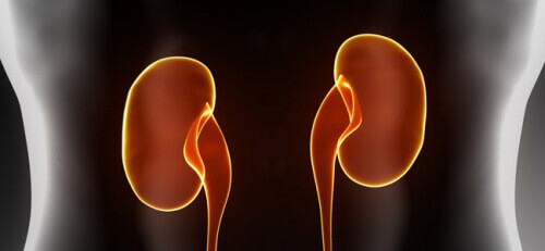 Grønnsaker som forbedrer nyrefunksjonen