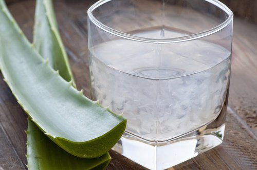 aloe vera