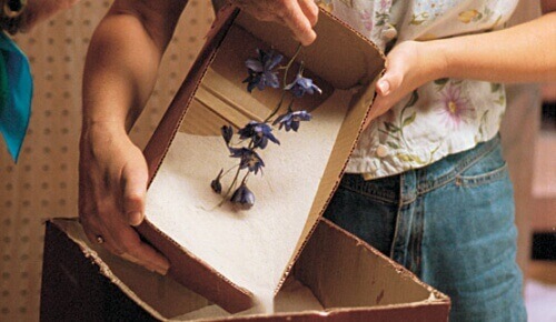 silikagel kan brukes til tørking av blomster