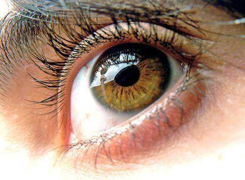 3-sunne-øyne
