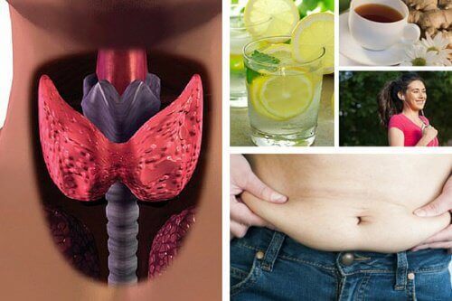 Hvordan gå ned i vekt når du lider av hypotyreose