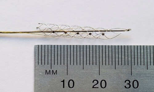 "Bionisk ryggrad" hjelper lammede å gå igjen