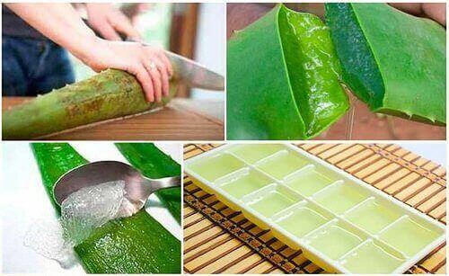 Slik oppbevarer du aloe vera-gelé på best mulig måte