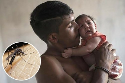 10 ting du bør vite om Zika-viruset