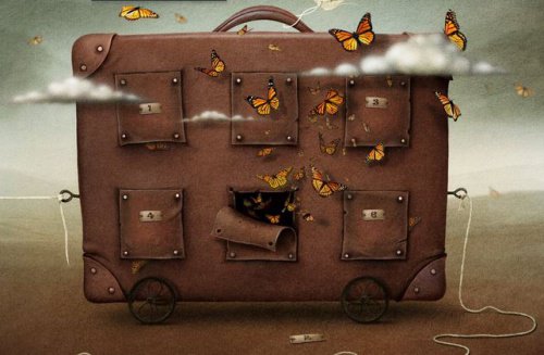 koffert-sommerfugler