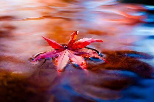 Flyt: En flott måte å bekjempe stress på