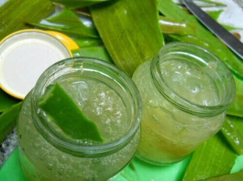 Hvordan lage hjemmelaget aloe vera-gel