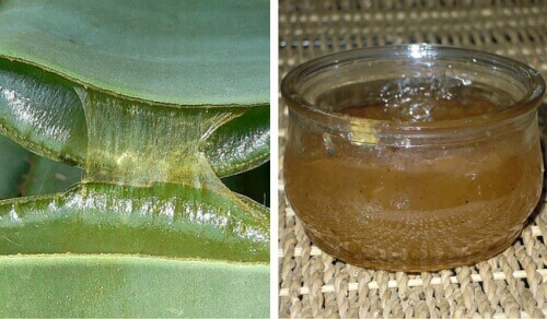 Slik lager du en sunn aloe vera-gelé