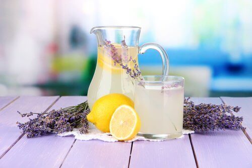 lavendel-limonade-med-planten