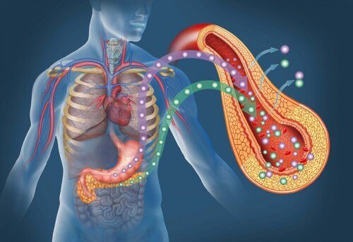 10 tegn på diabetes som du ikke bør ignorere