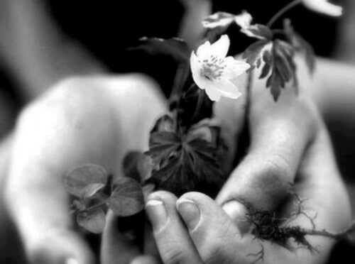 Praktiser godhet: en flott måte å ta vare på hjernen