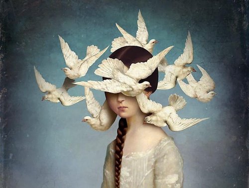 fugler-sirkulerer-hodet